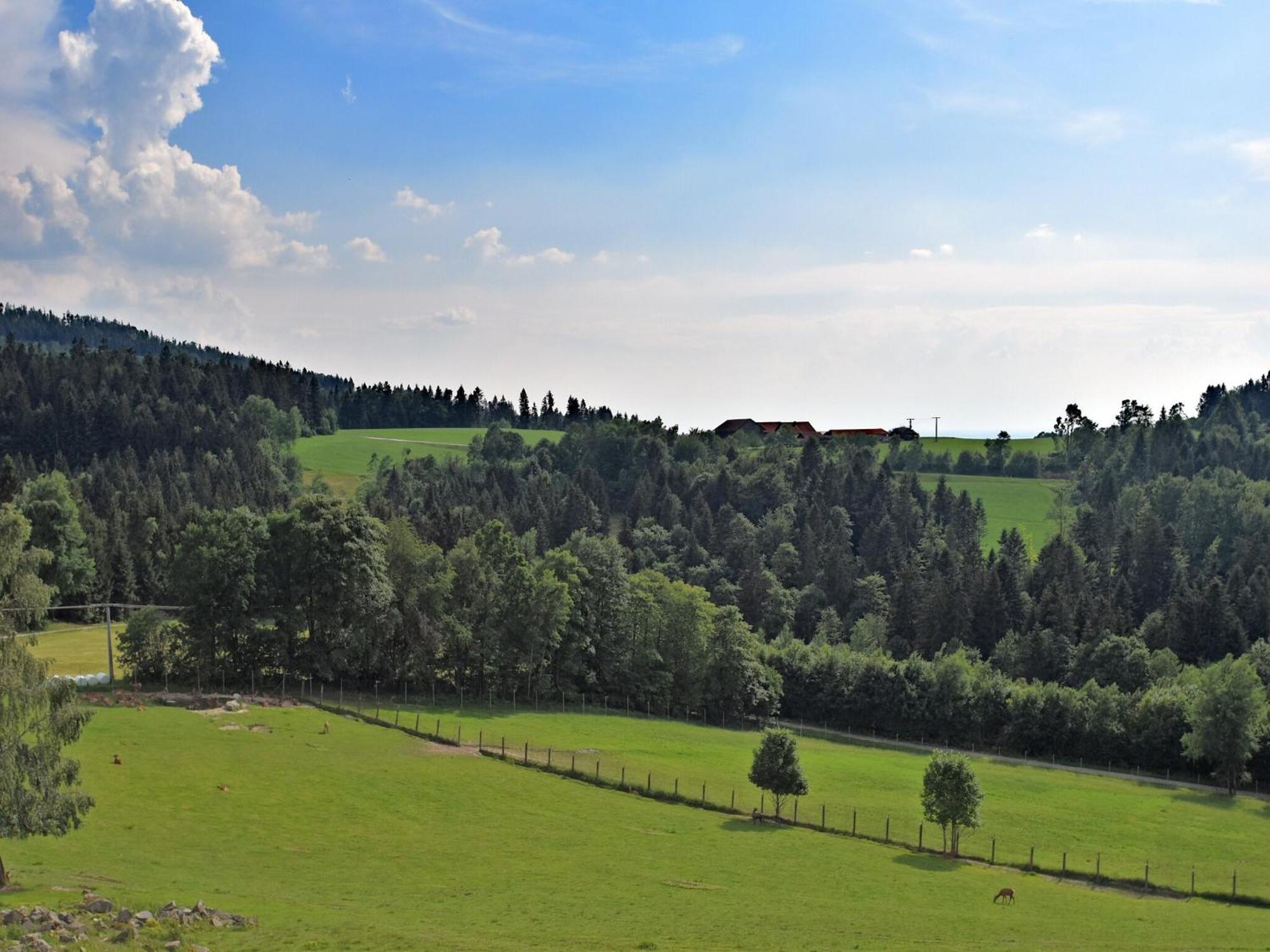 Holiday Home With Panoramic View And Every Convenience Spa Waldkirchen Dış mekan fotoğraf