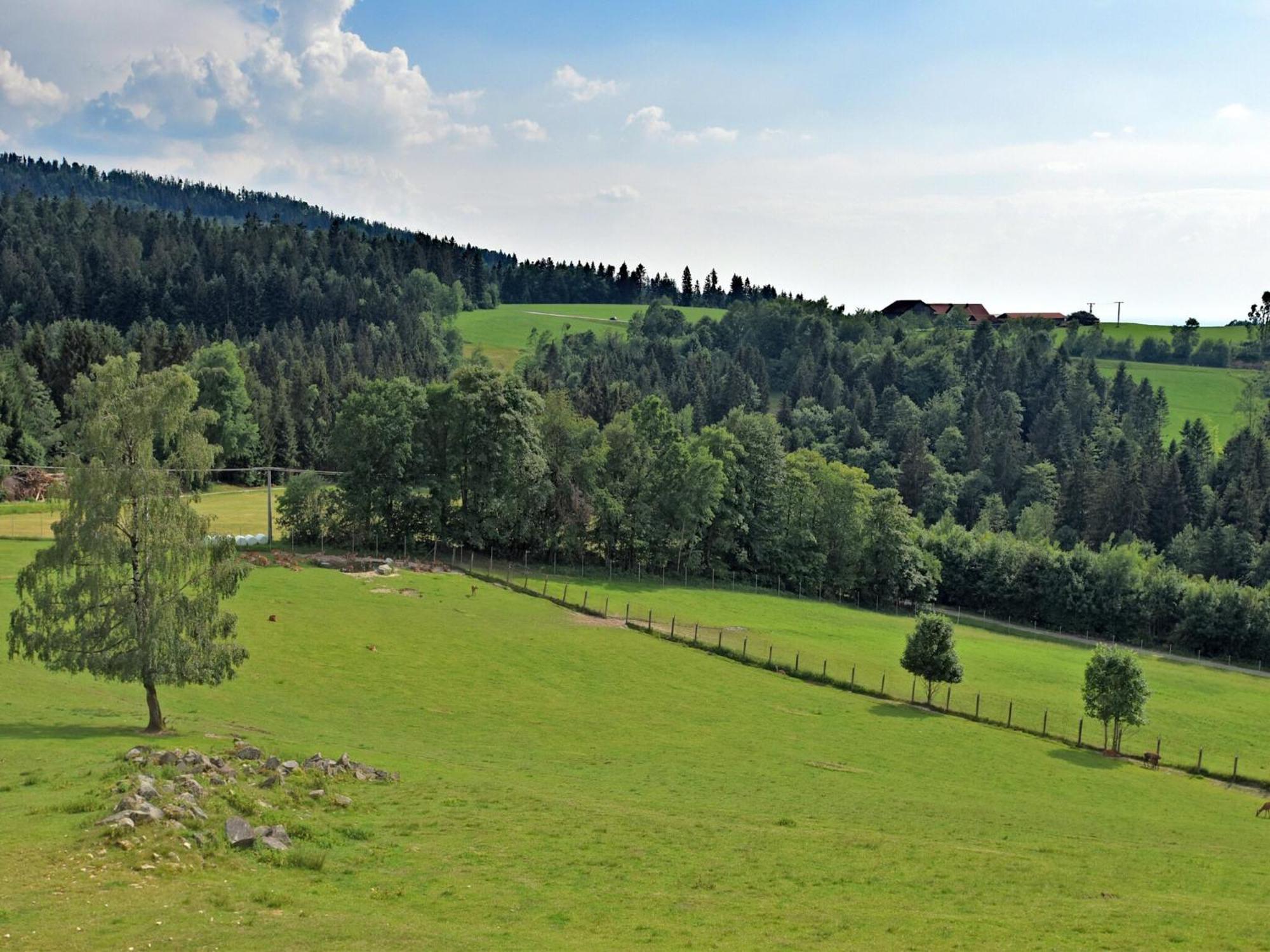 Holiday Home With Panoramic View And Every Convenience Spa Waldkirchen Dış mekan fotoğraf